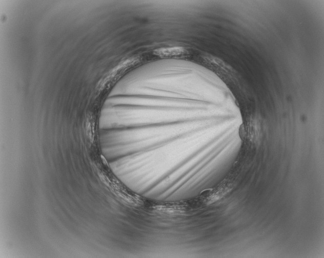 X0000053010763200507291707