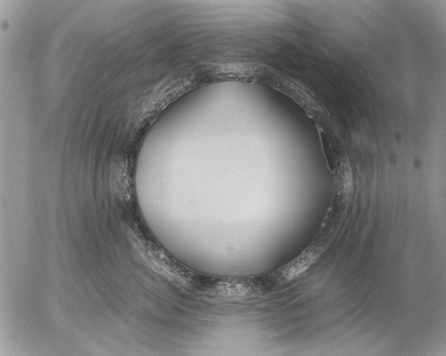 X0000053010764200507291707