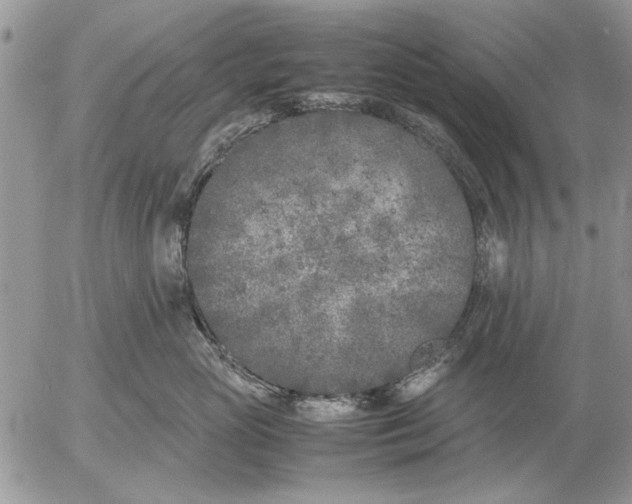 X0000053010765200507291708