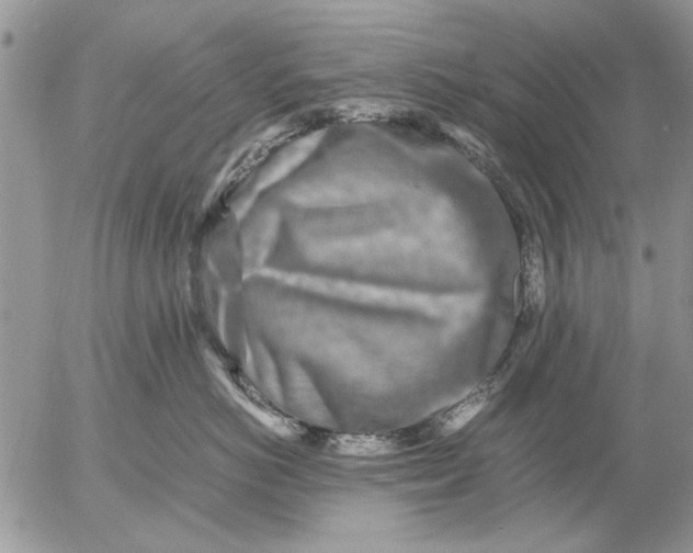 X0000053010766200507291708