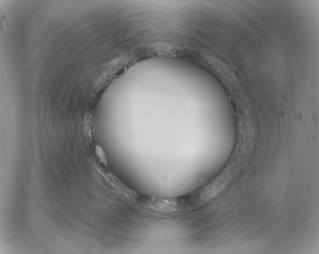 X0000053010768200507291708