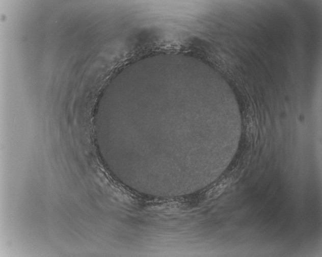 X0000053010769200507291707