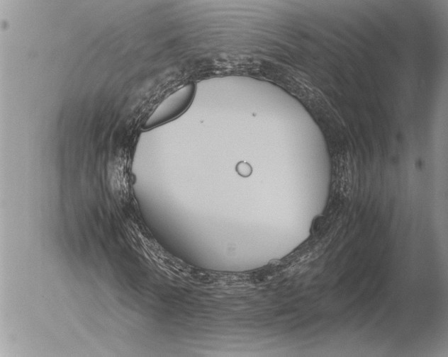 X0000053010770200507291707