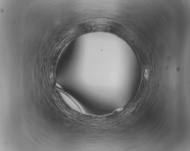 X0000053010771200507291707