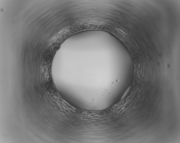 X0000053010774200507291707