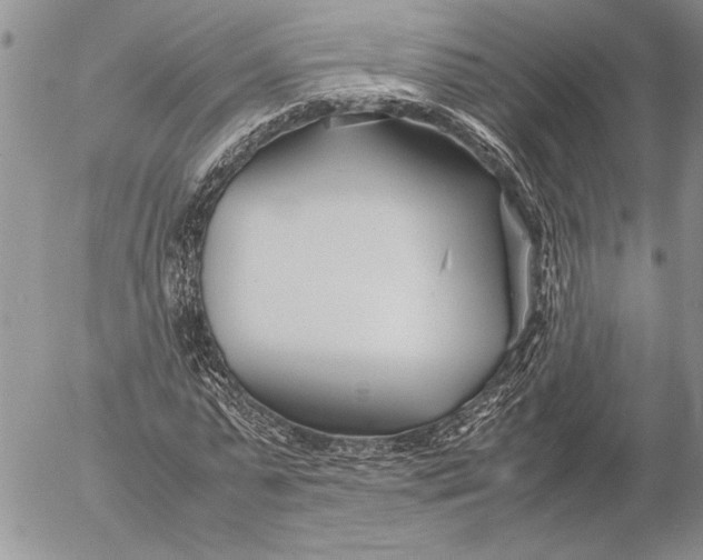 X0000053010775200507291707