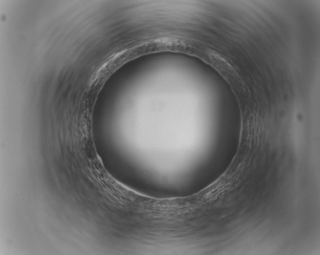 X0000053010776200507291707