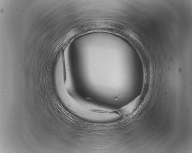 X0000053010777200507291707