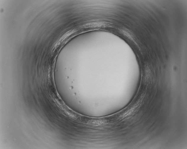 X0000053010778200507291707