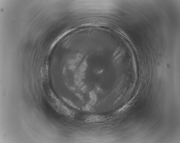 X0000053010779200507291707