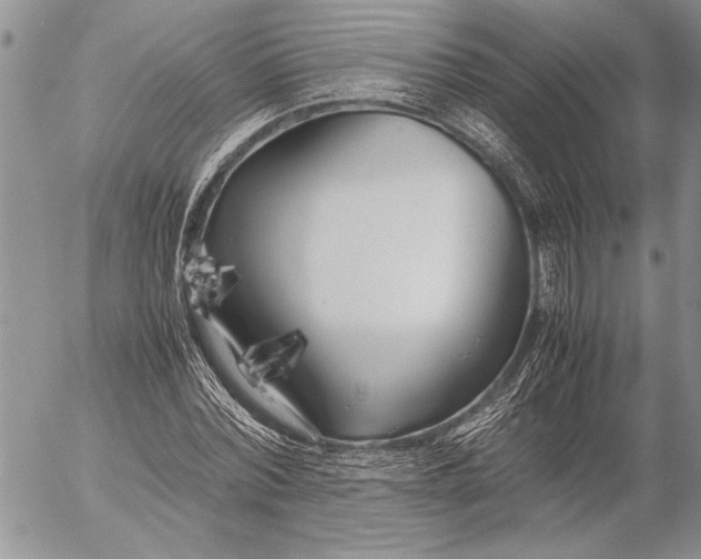 X0000053010780200507291707