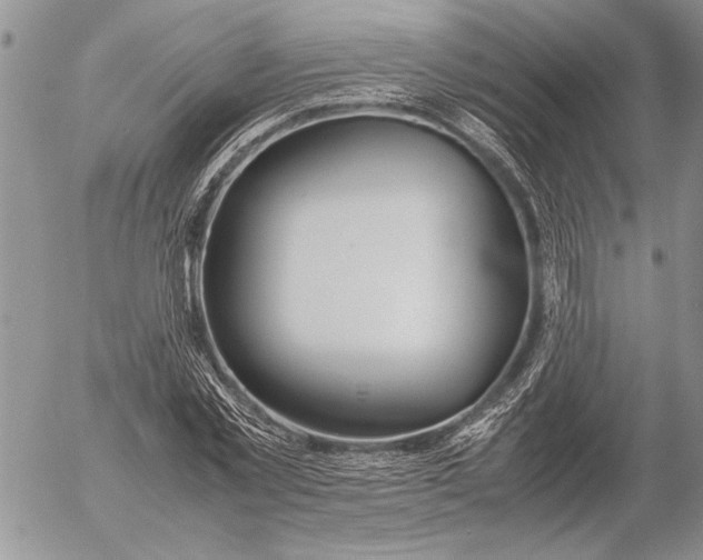 X0000053010781200507291707