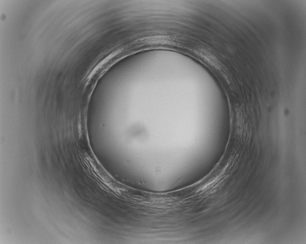 X0000053010782200507291707