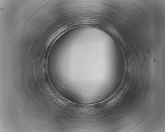 X0000053010786200507291706