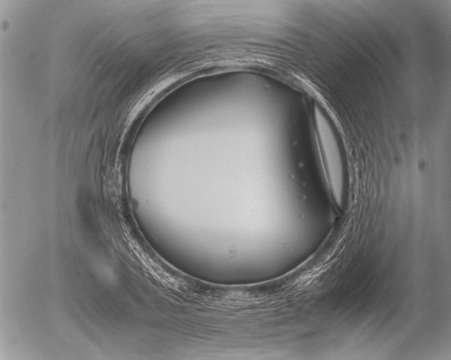 X0000053010787200507291706