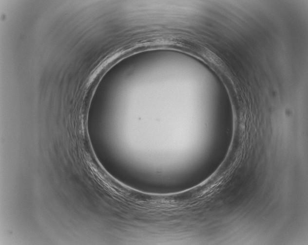 X0000053010789200507291706