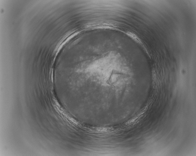 X0000053010790200507291706