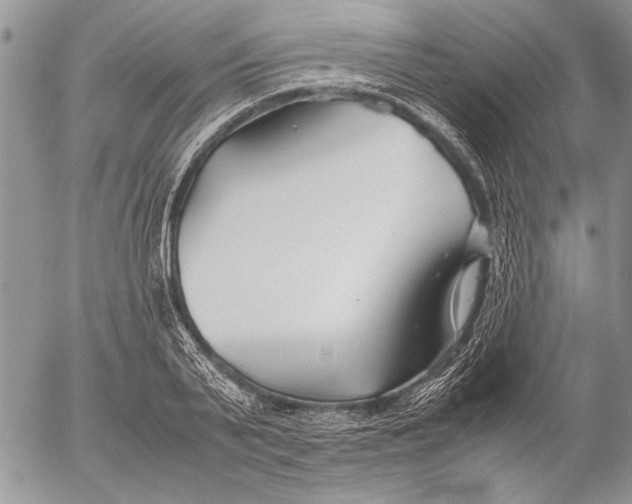 X0000053010791200507291706