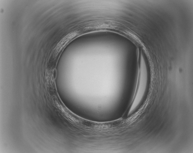 X0000053010793200507291706