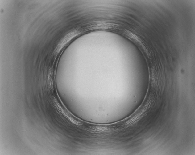 X0000053010794200507291706