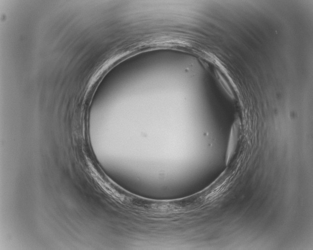 X0000053010795200507291706