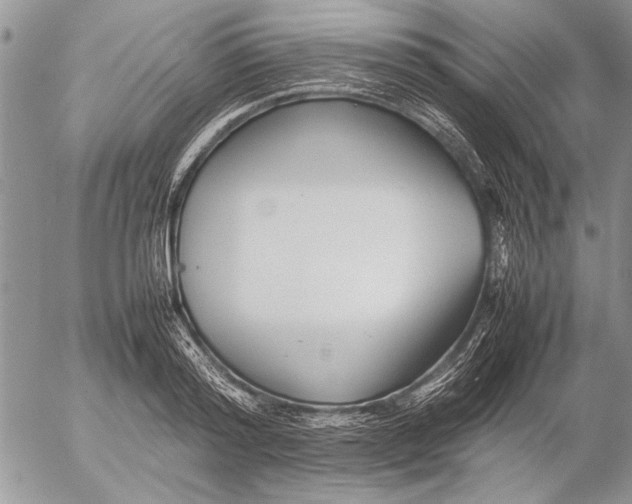 X0000053010796200507291706