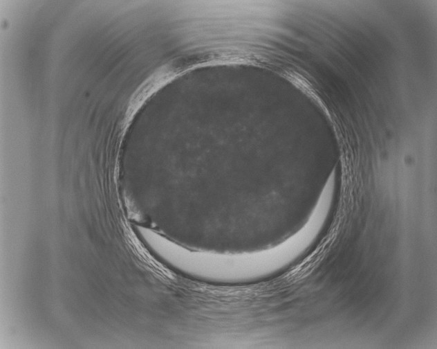 X0000053010797200507291706