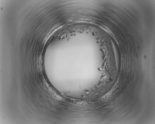 X0000053010798200507291706