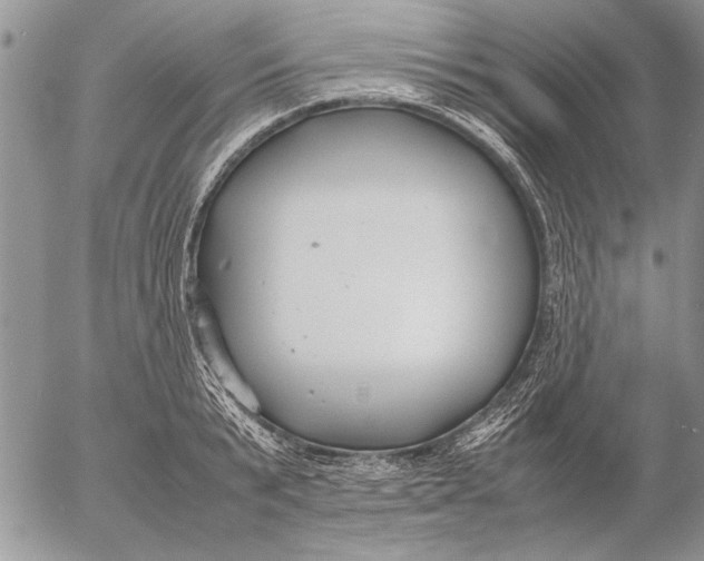 X0000053010799200507291706