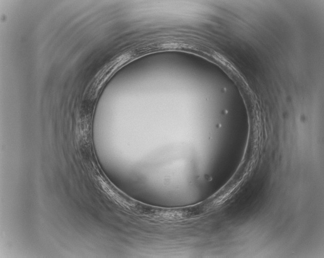 X0000053010801200507291706