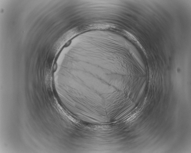 X0000053010802200507291706