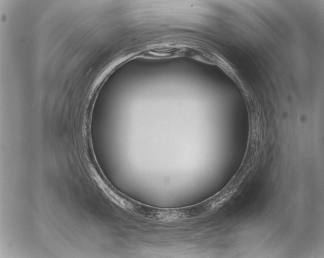 X0000053010803200507291706