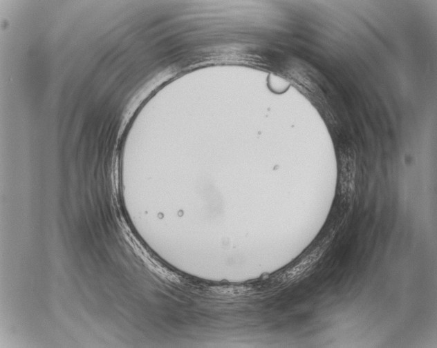 X0000053010804200507291706