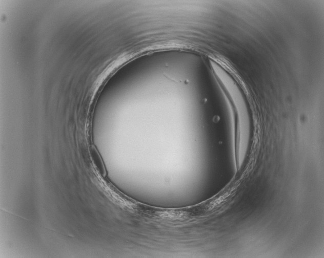 X0000053010805200507291706