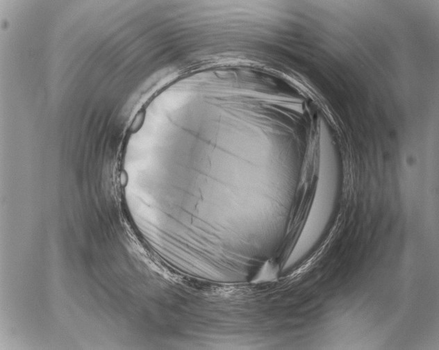 X0000053010806200507291706