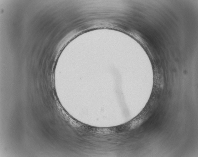 X0000053010807200507291706