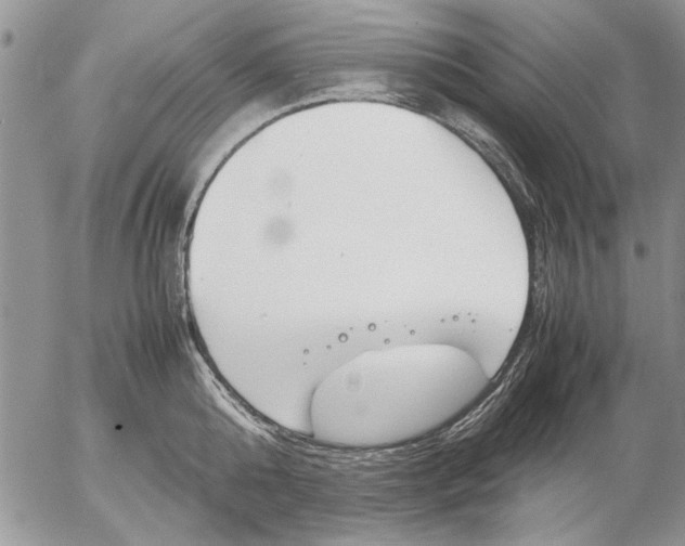 X0000053010808200507291706