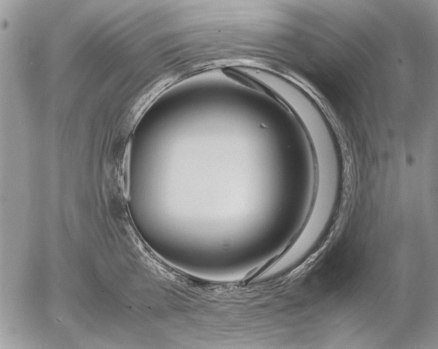 X0000053010809200507291706