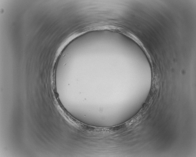 X0000053010811200507291706