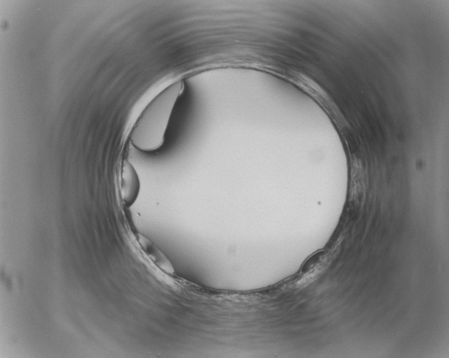 X0000053010812200507291706