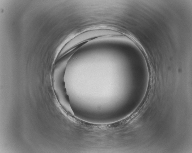 X0000053010813200507291706