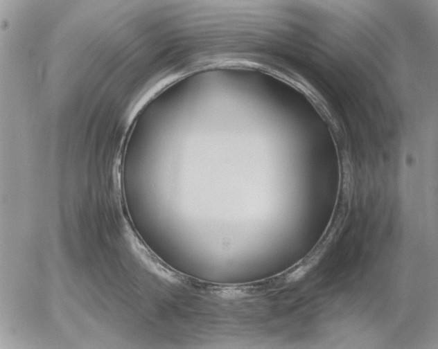 X0000053010814200507291706