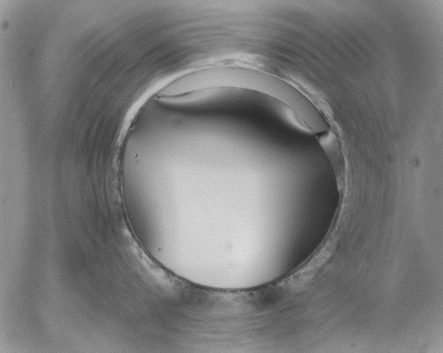 X0000053010816200507291706