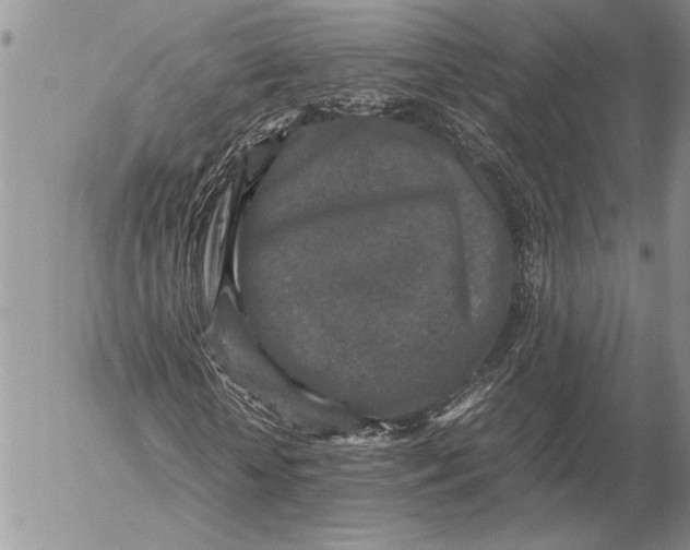 X0000053010818200507291705