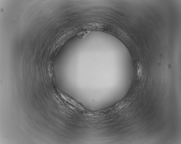 X0000053010819200507291705