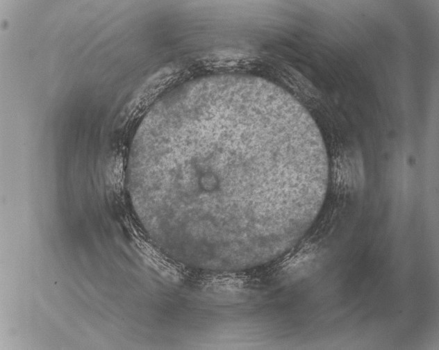 X0000053010820200507291705