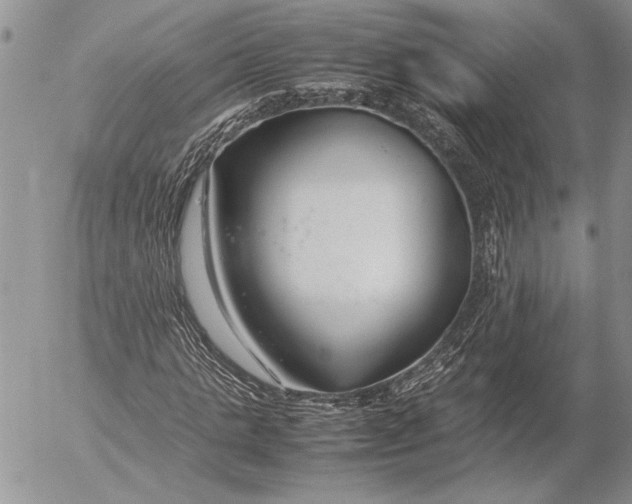 X0000053010821200507291705