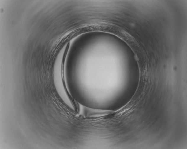 X0000053010822200507291705