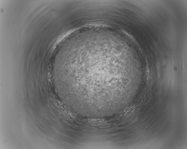 X0000053010823200507291705