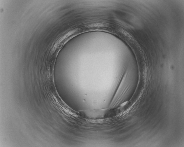 X0000053010825200507291705